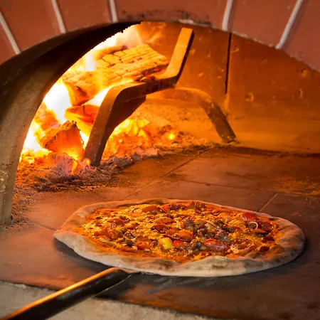 特拉利贝纳斯酒店 酒店 特拉利